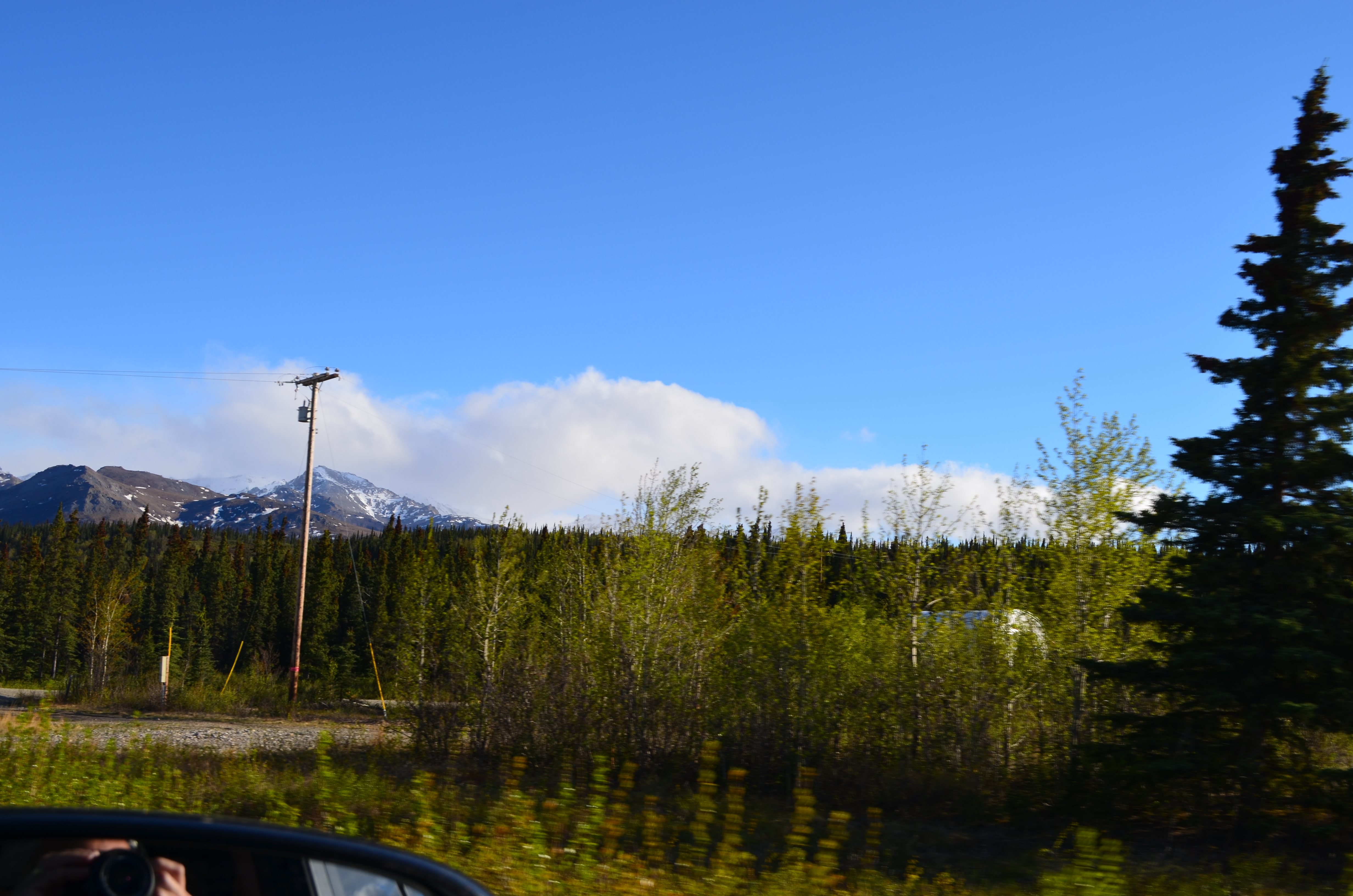 ./2017/08 - Alaska Cruise/03 - Denali/DSC_0161.JPG